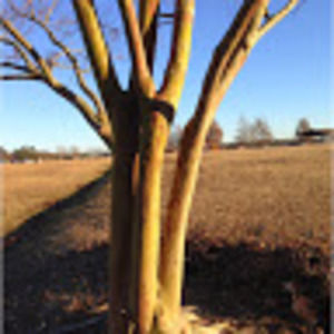 Meet your Posher, Terry